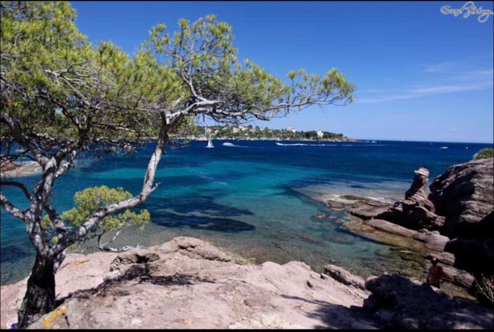 Chaleureux Appartement Face Au Port Sta Lucia, Tout A Pieds, Wifi Сен-Рафаэль Экстерьер фото